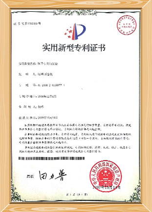 Patentes certificatorium